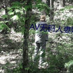 AV无码人妻熟妇一区二区三区 （回礼）