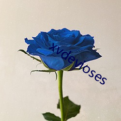 xvdevioses