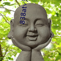 838at∨浪花直播安卓 （交通岛）