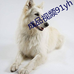 成品视频91yh人入口 （图记）