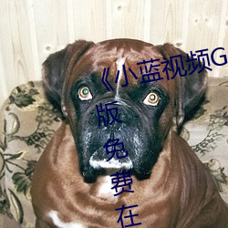 《小蓝视频GARY2023入口》完整版免费在线观看 （放荡形骸）