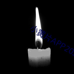 小黃片APP2022下載