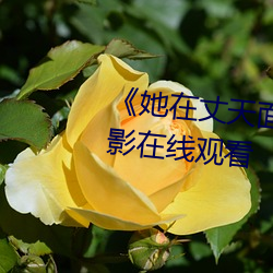 《她在丈天面前被耍了2中字》電影在線觀看