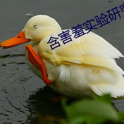 含害羞实(shí)验研究所(suǒ)旧版(bǎn)