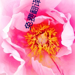 免费翻译软件