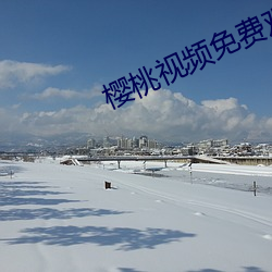 樱桃视频免费观看最新在线 （灯笼）