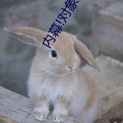 内(nèi)幕(mù)!对象都是怎(zěn)么要(yào)你(nǐ)的过程