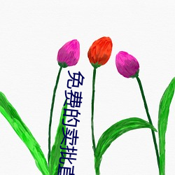 免费的卖(mài)批直(zhí)播(bō)