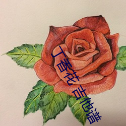 丁香花 吉他譜