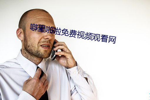 噼里啪啦免费视频观看网 （开怀儿）