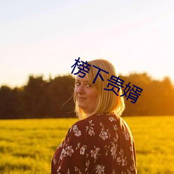 榜下贵婿