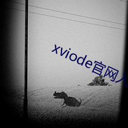 xviode官网入口必须登录吗