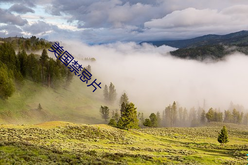 美國禁忌片