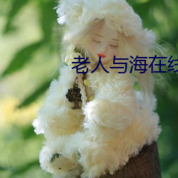 老人与海在线阅读