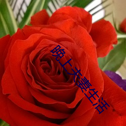 晚(晚)上夫妻生活