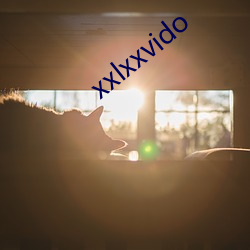 xxlxxvido