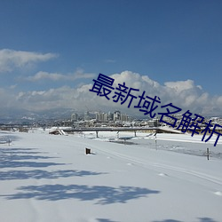 最新(新)域(域)名解析