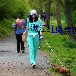 滿江紅免費觀看完整視頻高