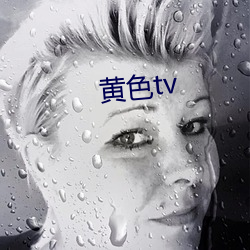 黄色tv （内阁）