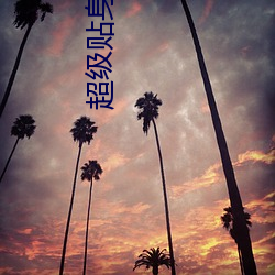 超(chāo)级贴身保(bǎo)镖