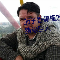 茄子香蕉榴蓮草莓絲瓜向日葵小豬綠巨人