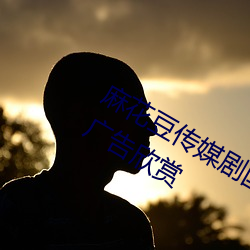 麻花豆传(傳)媒剧(劇)国产mv网(網)站入口实现无广(廣)告欣赏