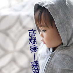 金年会 | 诚信至上金字招牌