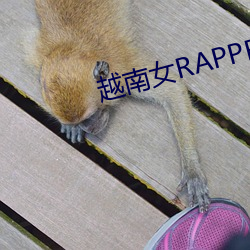 越南女RAPPERDISS大战