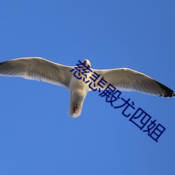 &#x5317;&#20140;&#x5927;&#24742;&#x57CE;&#30005;&#x5F71;&#38498;-&#24555;&#x7A7F;&#20043;&#x53CD;&#27966;&#x7EC8;&#20110;&#x9ED1;&#21270;&#x4E86;