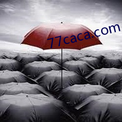 77caca.com