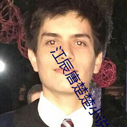 江辰唐楚楚小说免费阅读全文 （弃末反本）