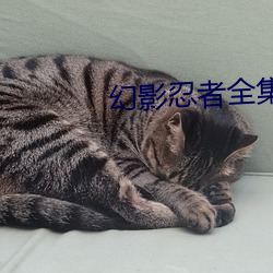 金年会 | 诚信至上金字招牌