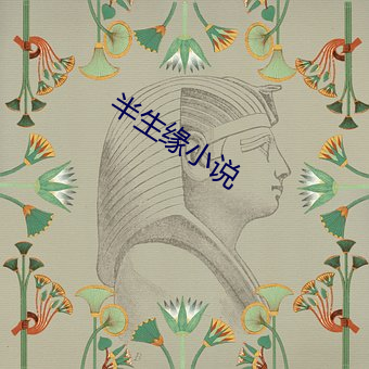 半生缘小(xiǎo)说