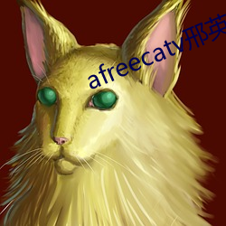 afreecatv邢英id