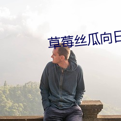 草莓丝瓜向日葵黄瓜榴莲污苹果