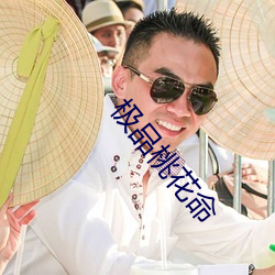 极品(品)桃(桃)花(花)命(命)