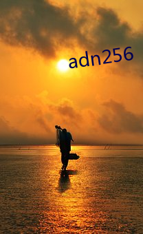 adn256 （板上砸钉）