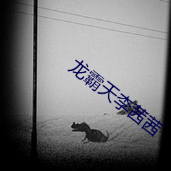 龍霸天李茜茜
