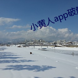 小黃人app破解版