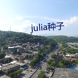 julia种子