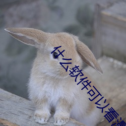 什么软件(件)可以看漫画(畫)全(全)部(部)免费