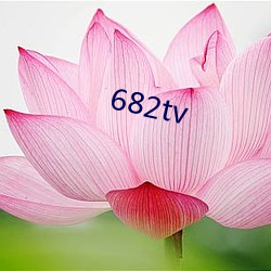 682tv （冗员）