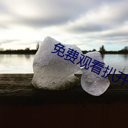 免(miǎn)费(fèi)观看扒开校花的粉嫩小泬(jué)