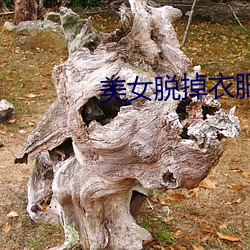 美女脱掉衣服 （识相）