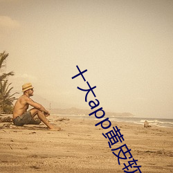 十(shí)大app黄皮(pí)软件排行榜(bǎng)