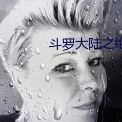 斗罗大陆之绝世唐门