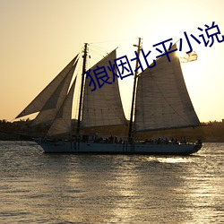 狼烟北平小说 （远瞩高瞻）
