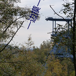 一(一)边(邊)摸一边(邊)揉一边做视(視)频