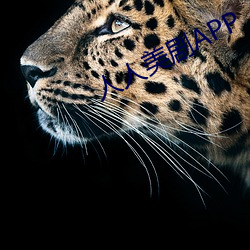 人人(rén)美剧APP