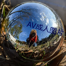 AV成人圖片